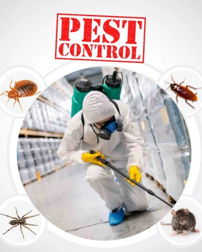 Pest Control Services Coimbatore