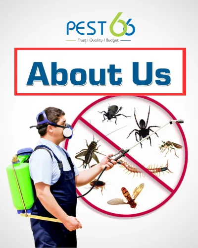 Termite Control Services in Coimbatore